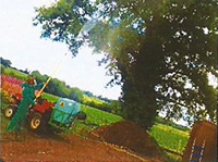 la chenille processionnaire Traitement biologique
